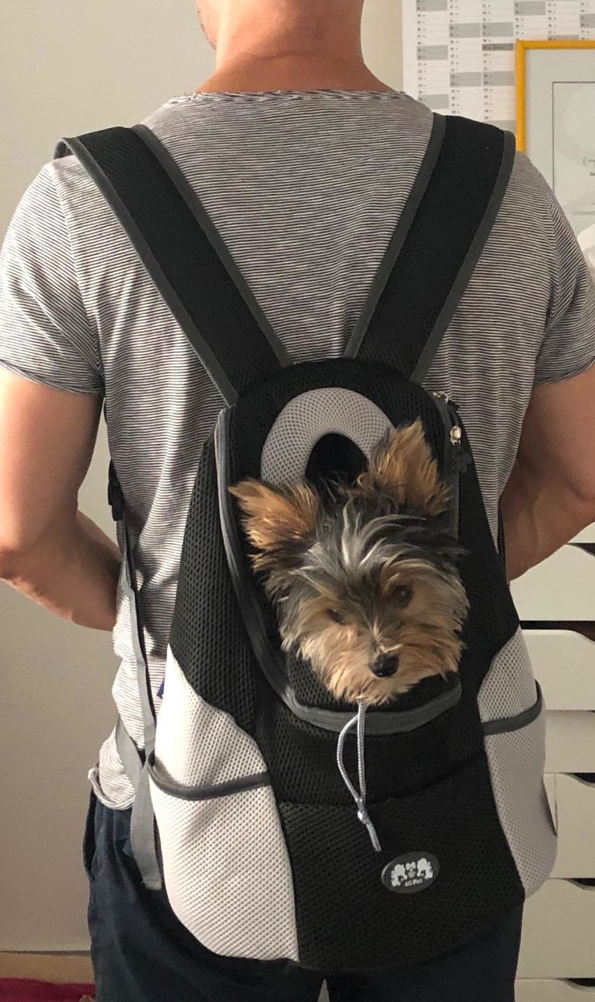 Customer photo review of Foxypets Hunderucksack