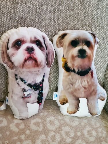Customer photo review of Create A Custom Dog Pillow
