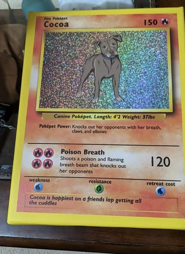 Customer photo review of Pokepet