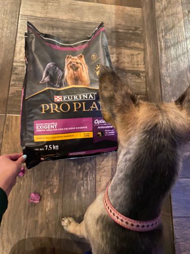 Customer photo review of Exigent Razas Pequeñas