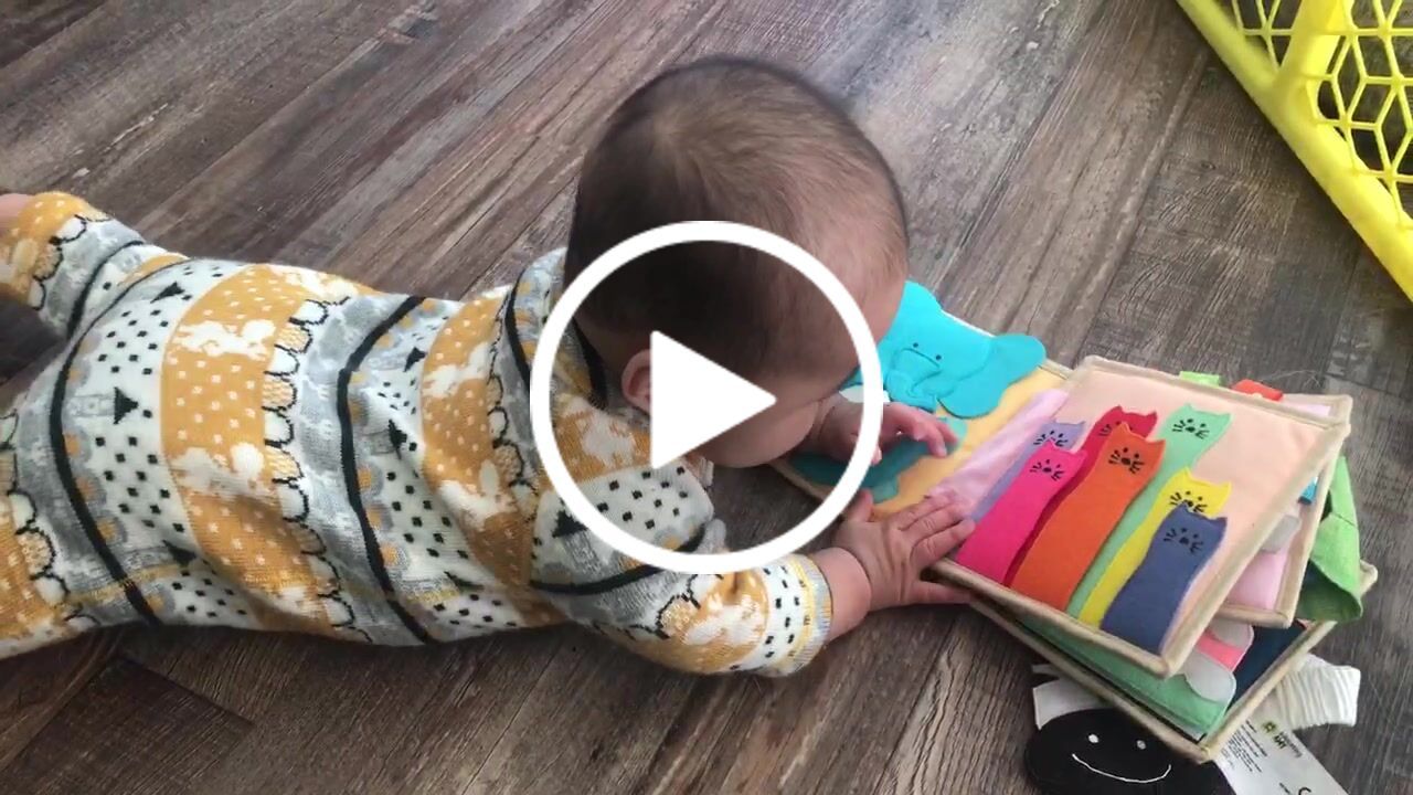 Customer video review of Little Zebra Mini Quiet Book