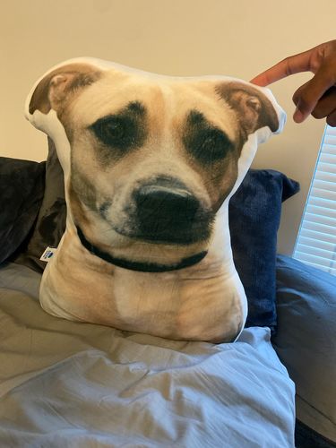 Customer photo review of Create A Custom Dog Pillow