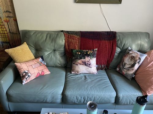 Customer photo review of Create A Custom Animal Pillow