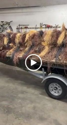 Customer video review of Hunting Blind Raffia Grass (Pack)