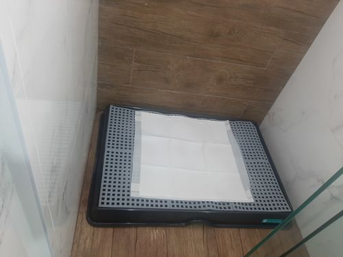 Customer photo review of Weasy Cão