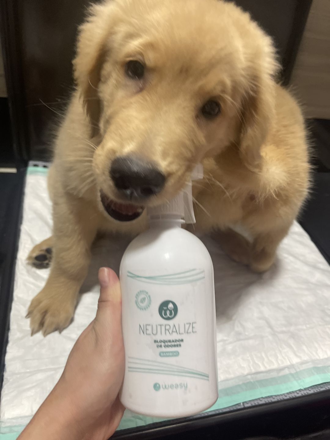 Customer photo review of Weasy Neutralize