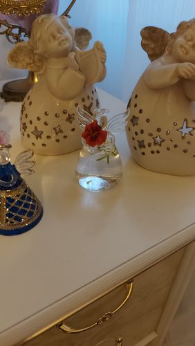 Customer photo review of Mon petit ange gardien