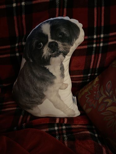 Customer photo review of Create A Custom Dog Pillow
