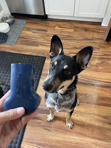 Customer photo review of Freezbone