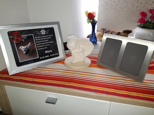Customer photo review of Hunde Gedenktafel mit Foto & Wunschtext
