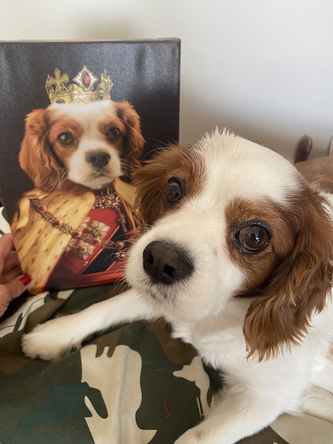 Customer photo review of The King of the Seven Kingdoms