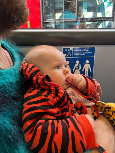 Customer photo review of TIGER PRAMSUIT