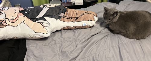 Customer photo review of Create A Custom Full Body Shaped Pillow