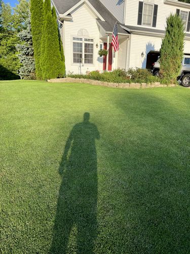 Customer photo review of OII-YS Natural Adjuvant Refill