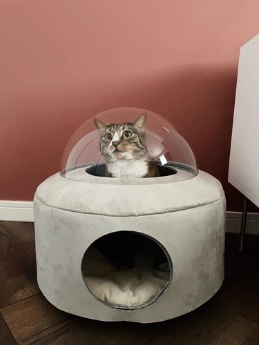 Customer photo review of Michu Space Capsule Cat Bed