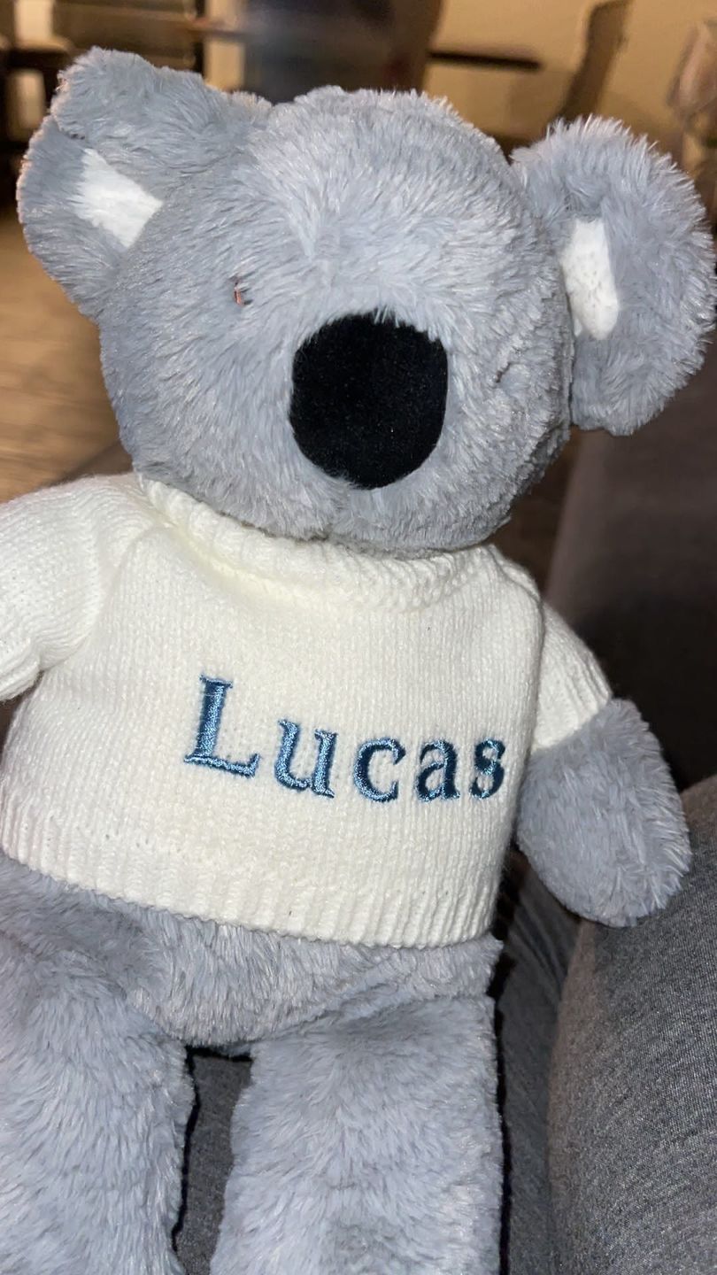 Customer photo review of Ricky the Koala - Jollyhugs™ Collection