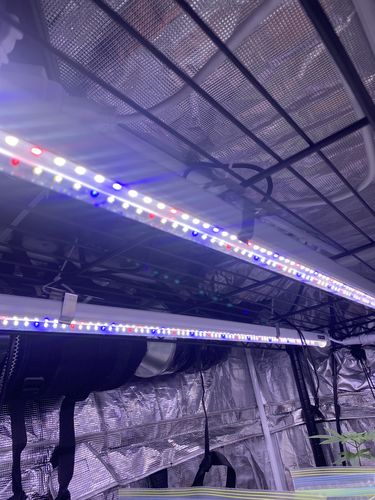 Customer photo review of Luxx Lighting 18W Cloning LED Light | 2-Pack