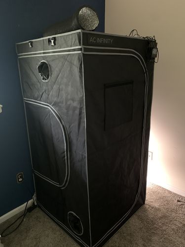 Customer photo review of 3x3 Indoor Grow Tent Kit, AC Infinity 3 Plant Kit