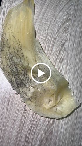 Customer video review of Hard Wax Kit - 2.2 LB