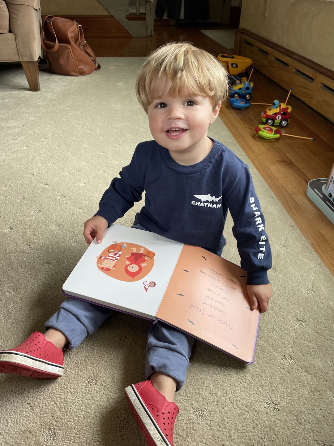 Customer photo review of Halloween Nursery Rhymes Glow-in-the-Dark - Rechargeable sound book
