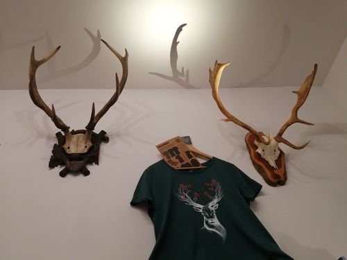 Customer photo review of HIRSCH BLÜTEN - Bio Damen Shirt