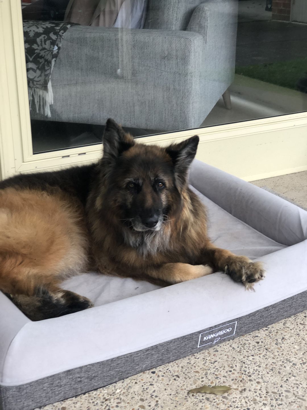 Customer photo review of Kangaroo Bed Extra Cover - Grey