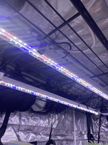 Customer photo review of Luxx Lighting 18W Cloning LED Light | 2-Pack