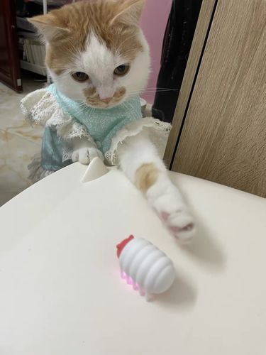 Customer photo review of Mayitwill Little Snow Monster Automatic Cat Toy