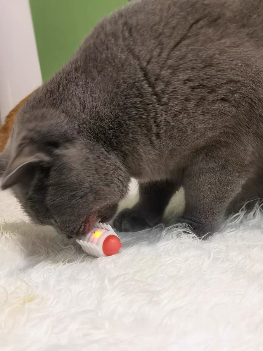 Customer photo review of Mayitwill Little Snow Monster Automatic Cat Toy