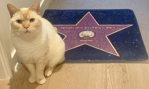 Customer photo review of Cartoon Pet Mat Bed