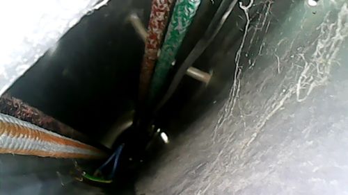 Customer photo review of Wireless Wi-Fi Endoscope Camera For iOS & Android