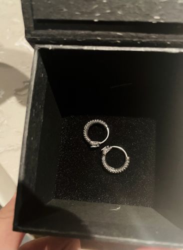 Customer photo review of Ouroboros Earrings