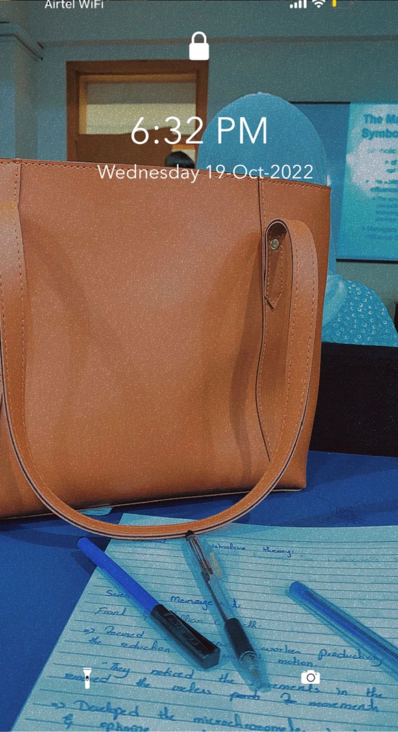 Customer photo review of Brown Belle Tote Bag