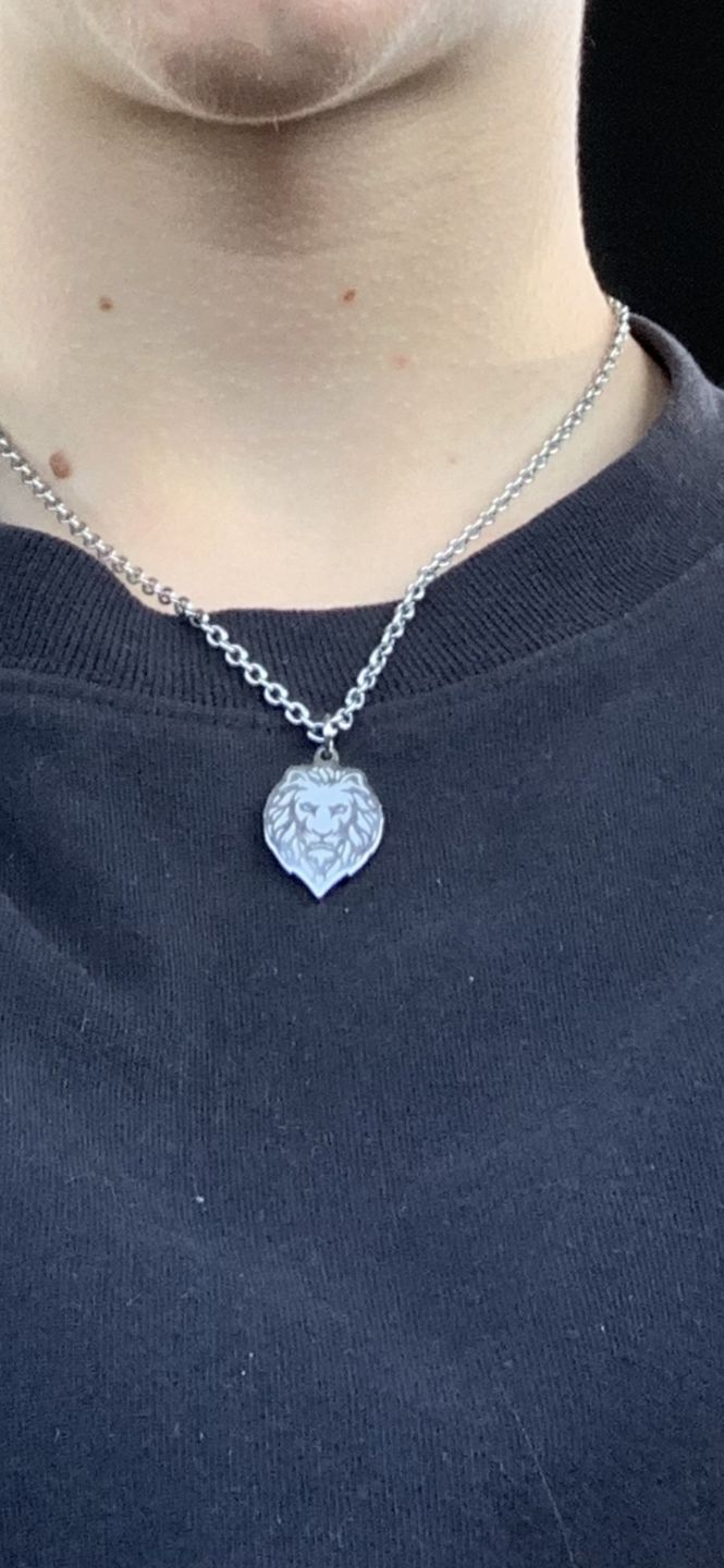 Customer photo review of Lion (Silver)