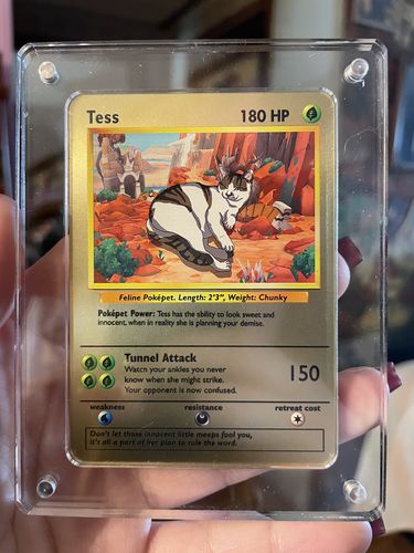 Customer photo review of Number of Pokepets and Trainers