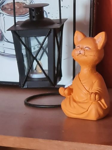 Customer photo review of Buddha kat