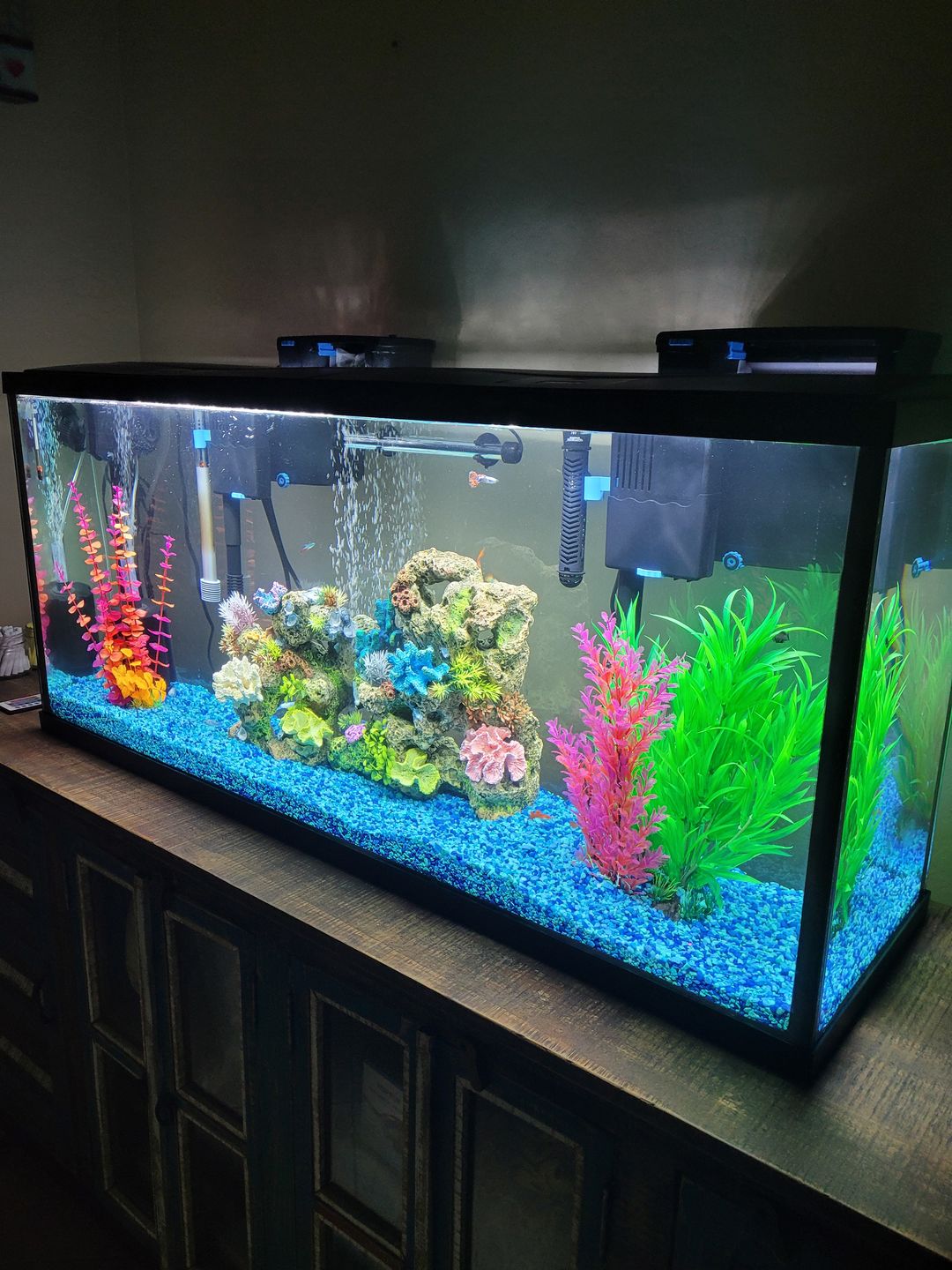 Customer photo review of Seachem Purigen