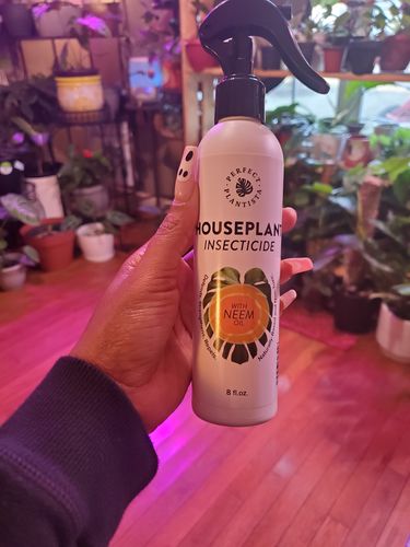 Customer photo review of Houseplant Insecticide w/ Neem