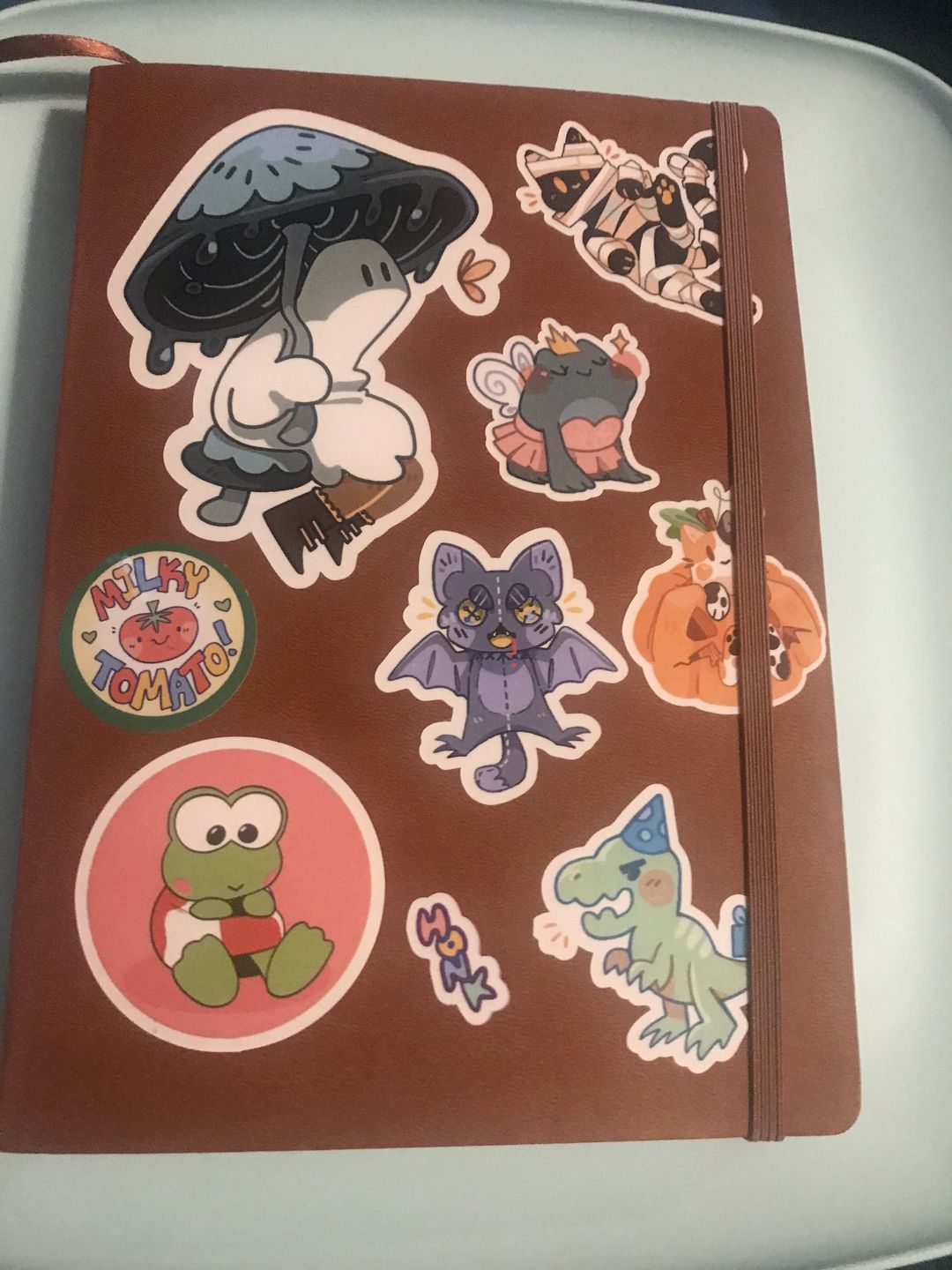 Customer photo review of Dino Party Sticker Sheet
