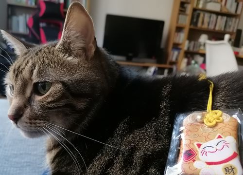 Customer photo review of Omamori Kawaii Orange - Maneki Neko