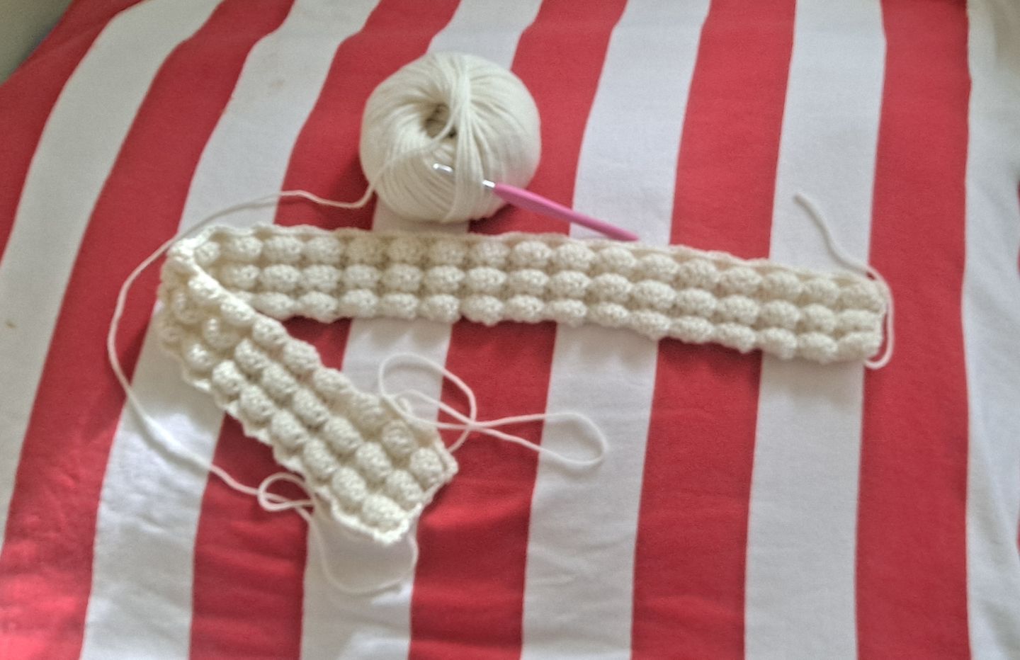 Customer photo review of Cascade 220 Superwash Wool Knitting Yarn