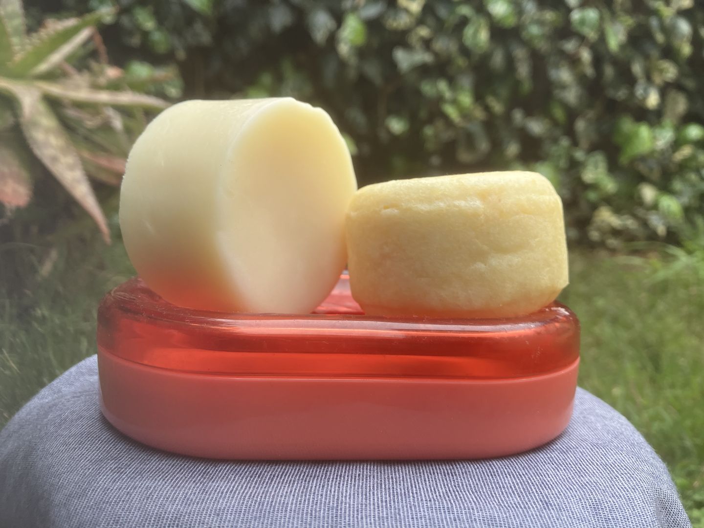 Customer photo review of Shampoo Solido hidratante, cuero cabelludo sensible