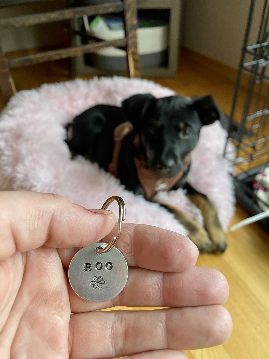 Customer photo review of Hand Stamped Pet ID Tag