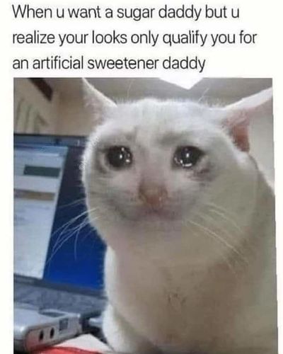 Customer photo review of Love, Nala Flaked Variety Pack, 2.8-oz, Case of 12