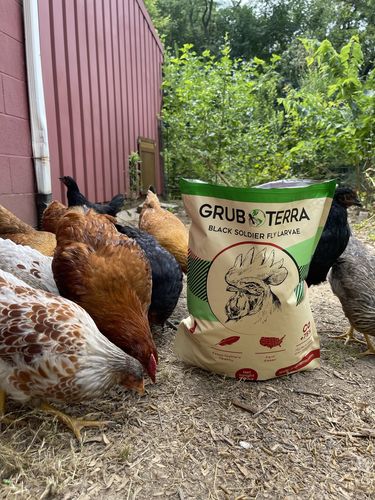 Customer photo review of GrubTerra Dried Larvae