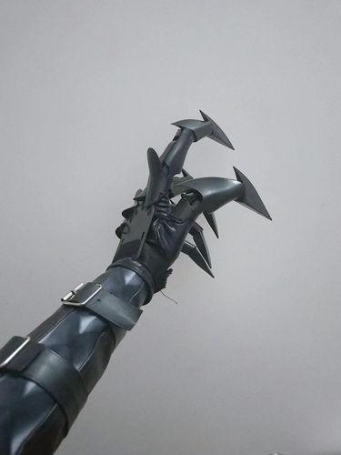 Customer photo review of TO Detachable Knuckle Hand Dragon Claws