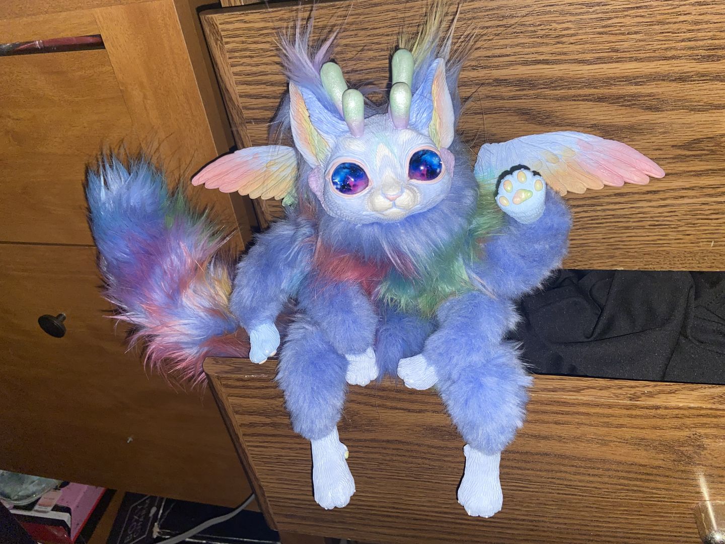Customer photo review of Rainbow horned fox