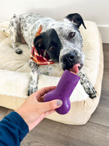 Customer photo review of Freezbone