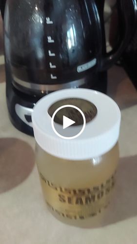 Customer video review of Elderberry and Soursop Infused Sea Moss Gel