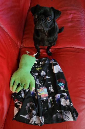 Customer photo review of Universal Monsters "The Bride Lives" – KUNUFLEX Short Sleeve Shirt